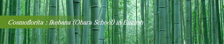 Cosmoflorita : Ikebana (Ohara School) in English 