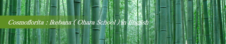 Cosmoflorita : Ikebana ( Ohara School ) in English